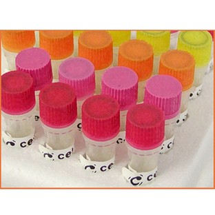 FITC anti-human CD94 by BioLegend - Absave